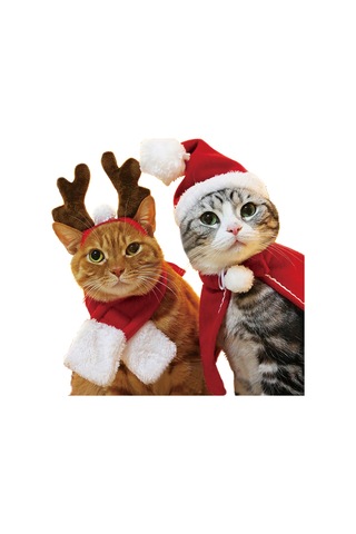 Kangvka Kedi Köpek Bayram Atkısı Kırmızı S Boyutu - Yumuşak Kumaş, Kolay Kullanıma Uygun, Tatil Dekorasyonu Çok Renkli