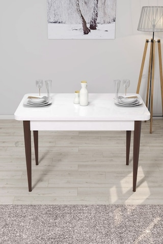 Canisa Concept Arp Serisi 70x110 Sabit Mutfak Masası Takımı Beyaz Ceviz Masa 4 Gül Kurusu Sandalye Masa Beyaz/ Sandalyeler Gülkurusu