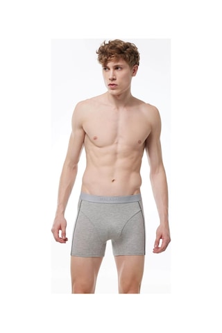Malabadi 017 Erkek Biyeli Modal Boxer-Gri