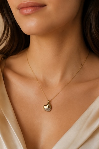 Balenbi Jewelry Taşlı Kalp Uçlu Kararmaz Çelik Kadın Kolye 14k Gold 1163 Altın