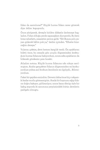 Sekizinci Günün Güneşi