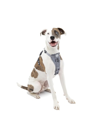 Tr Köpek Koşum Takımı Pet Walking Koşum Takımı No Pull Koşum Ön Klips Fonksiyonu Antrenman İçin Araç Em Genel