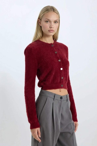 DeFacto Regular Fit Bisiklet Yaka Düğmeli Triko Bordo Hırka E2428AX24WNBR248 Bordo