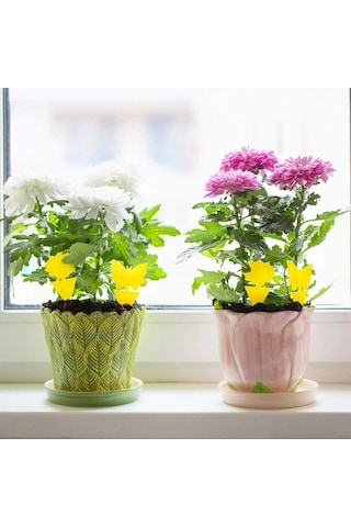 Pazly 20'li Sarı Yapışkan Böcek Tuzağı - Meyve & Mantar Sineklerine Karşı, Uv Dayanıklı, Su Geçirmez, Ev & Bahçe Kullanımı