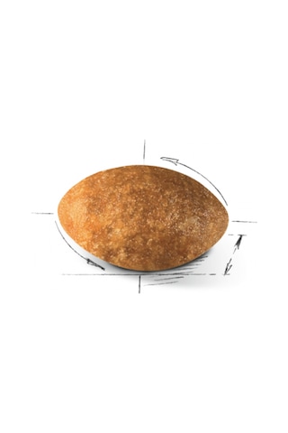 Royal Canin Adult Persian Yetişkin Kedi Maması 10 KG