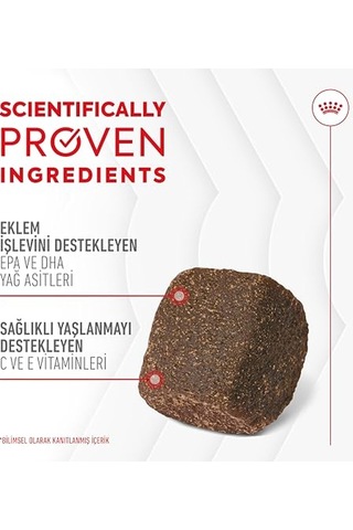 Ayrex Joint&ageing Chews Yetişkin Köpekler İçin Eklem Ve Zindeliklı Yaşlanmayı Destekleyen Tamamlayıcı Ödül M