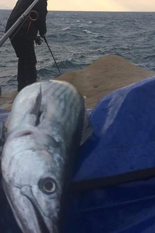 S.f. Sardalya 34g -71mm - Sahte Yem Kaşık Rapala-levrek, Palamut, Lüfer, Çinekop, Turna Için En Iyi Glow Jig Yem