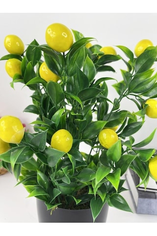 Yapay Çiçek Limon Ağacı Siyah Saksıda Limon 30 CM