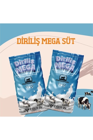 Diriliş Megasüt 25 Kg Yem Katkı