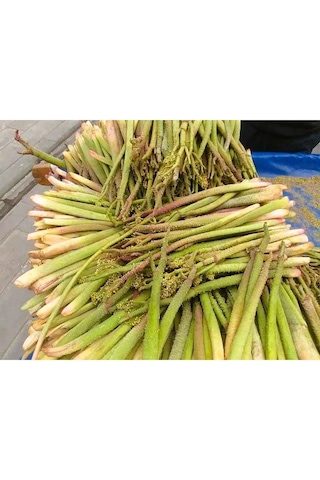 Selkur Işkın, Yayla Muzu, Işkın Otu, Dağ Muzu 1kg