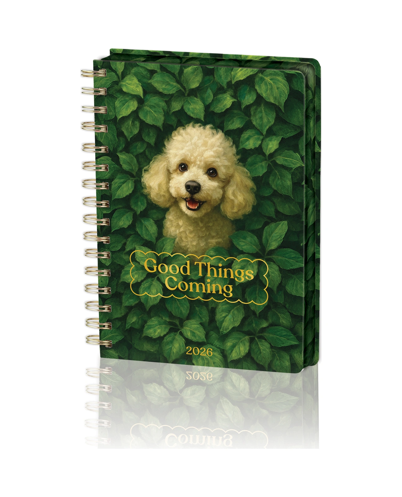 Spiralli Sert Kapak 2026 Günlük Ajanda A5 2544