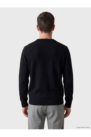 Lcwaıkıkı Classic Siyah Regular Fit V Yaka Erkek Triko Hırka