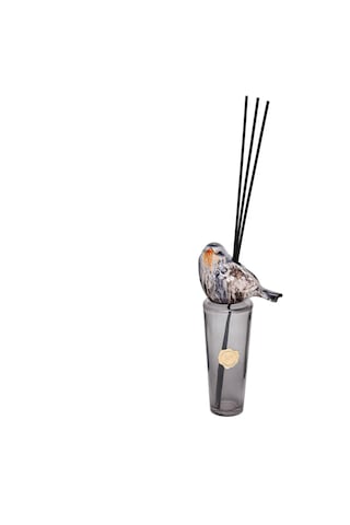 Kendi Kokunu Seç-bird Collection Siyah Slim Cam Çubuklu Difüzör Esanssız Karışık