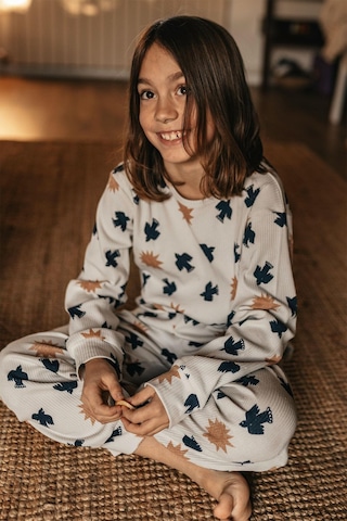 Antebies Organik Gots Sertifikalı Kuş & Güneş Desenli, Uzun Kollu Erkek Çocuk Pijama Takımı Gri