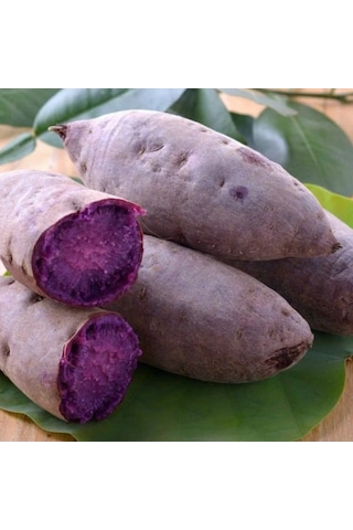 Papas Deep Purple Tatlı Patates Fidesi 1 Adet