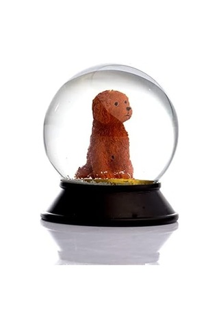 Cam Ve Reçine Altın Patiler Köpek Toy Poodle Tarçın Kar Küresi Hediye