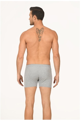 NBB Erkek Gri Boxer