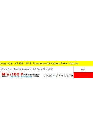 Mini 100p 1 Hp 5 Kat 4 Daire Termik Korumalı Paket Hidroforu - Kablolu Hidromatlı