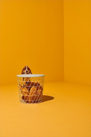 Saklama Bölmeli Sehpa, Beyaz, 44 Cm Beyaz