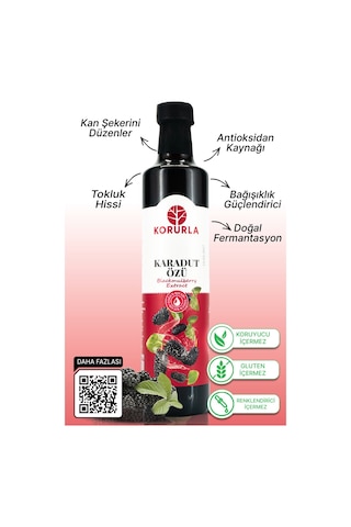 Karadut Özü 700 Gr Yoğun Kıvam