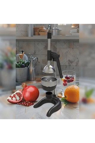 1706 Meyve Presi Industrıal Type Fruıt Press