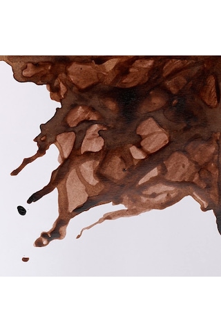 Winsor & Newton Drawing Ink Çizim Mürekkebi 14ml Peat Brown 469