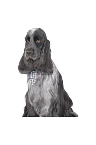 Show Tech Kedi Köpek Damalı Kravat Aksesuar 10 Adetli Paket