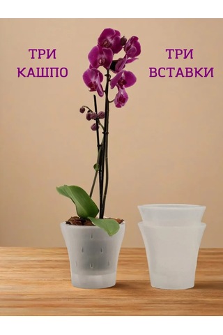 Live-in-green Orkide İçin Şeffaf Plastik Saksı Takımı 1,2l 342131428