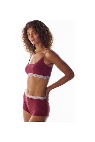 Penti Bordo Harvard Çıkarılabilir Pedli Bra Bralet