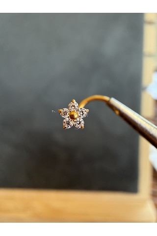 Yüksek Kalite G23 Titanium Beş Taş Papatya Zirkon 6x0.8mm Altın Titanyum Hızma Piercing