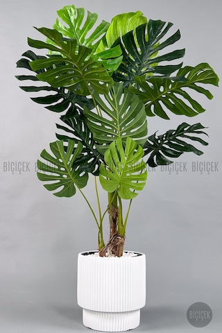 Biçiçek Yapay Monstera Ağacı Deve Tabani 160 Cm Beyaz Vega Saksıda