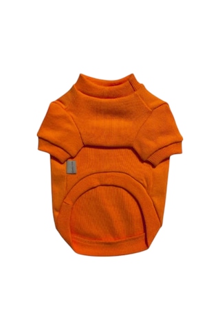 Gedyco Turuncu Kaşkorse Küçük Irk Köpek Sweatshirtü