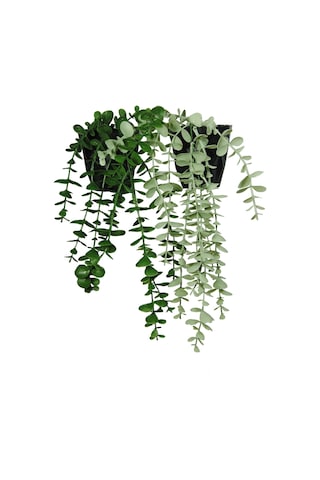 Lilac Home Yapay Çiçek Mini Okaliptus Seti 2'li Yeşil