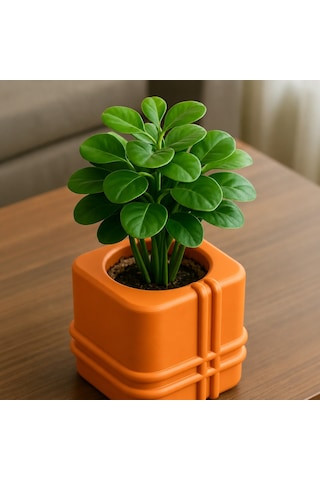 En-cag 3d Baskı Square Planter - Izgara Desenli Küp Saksı-turuncu Bss Standart