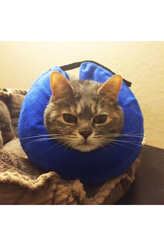 Homyl Şişme Kedi Köpek Tasması Elizabeth Yakasına Alternatif