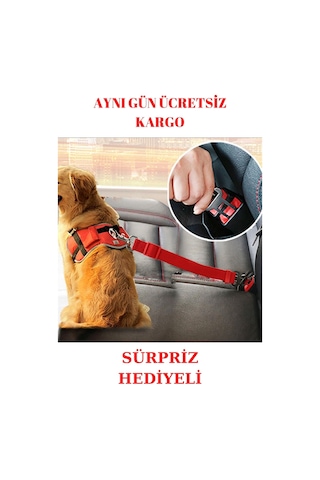 Evcil Hayvan Araç Araba Emniyet Kemeri Kedi Köpek Oto Tasması Koltuk Başlığı