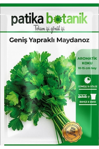 5000 Adet Patika Botanik Geniş Yapraklı Maydonoz Tohumu