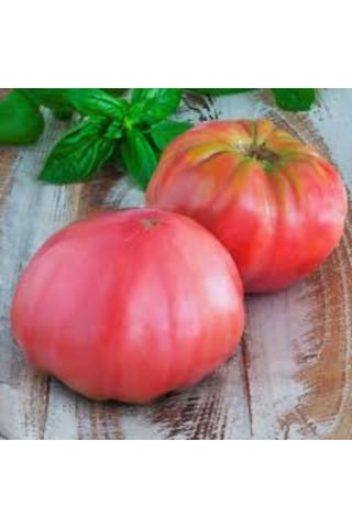 Bahçevilya Pembe Domates Tohumu 200 Adet