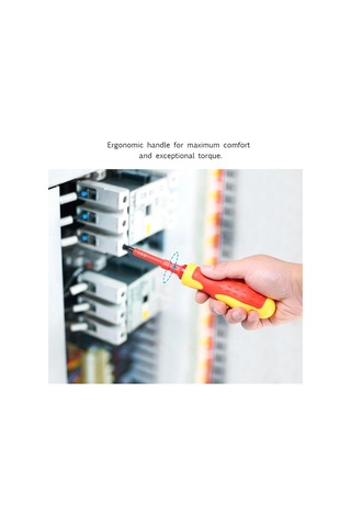 Dinosaurs 5 Adet Manyetik Oluklu Phillips Pozidriv İle 500 V