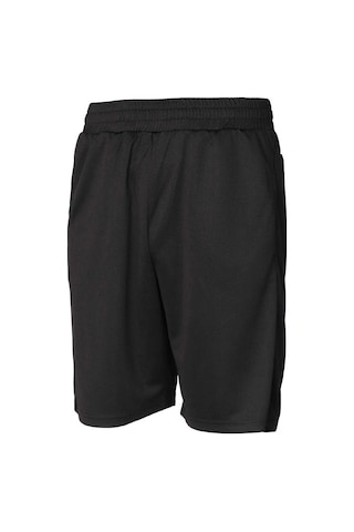 Hummel Flex Mesh Erkek Şort 931681-2001