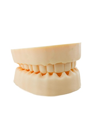 Barışhan Medikal Silikon Çene Diş Dikiş Modeli Ortodontik Alt Üst Çene Periodontal Sütür Eğitim Modeli-5