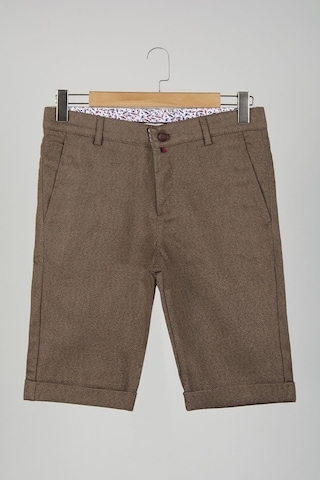 Terapi Men Erkek Koyu Kahverengi Slim Fit Keten Şort Çokrenkli