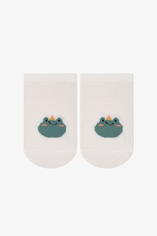 Penti Renkli Erkek Çocuk Catcher Frog 4 Lü Frog Çok Renkli
