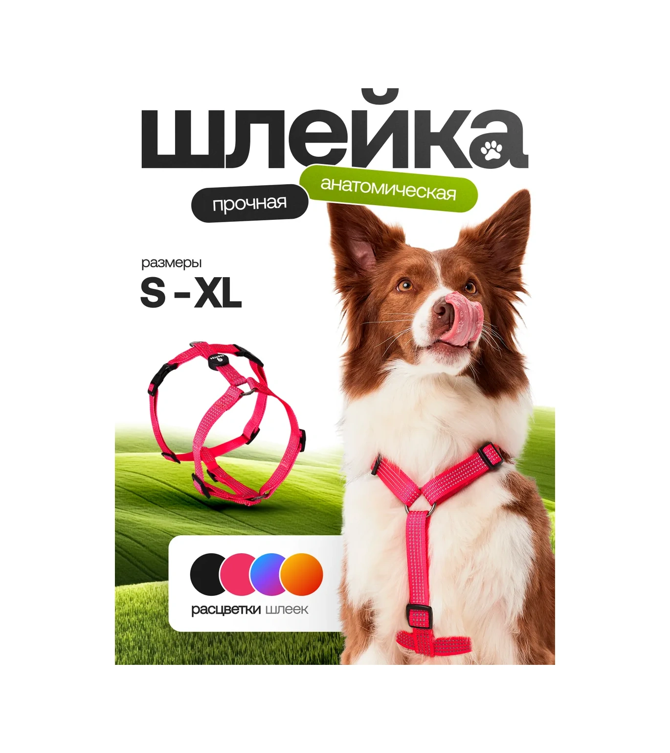 Petfort Köpekler İçin Anatomik Tasma 431184189