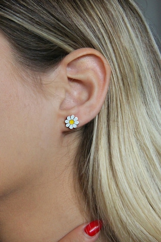 Argentum Concept - Gümüş Rose Papatya Küpe - K088701