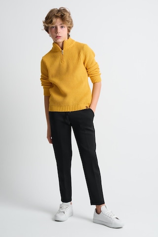 Alexandergardı Dik Yaka Fermuarlı Erkek Çocuk Kazak C23-7108 Hardal