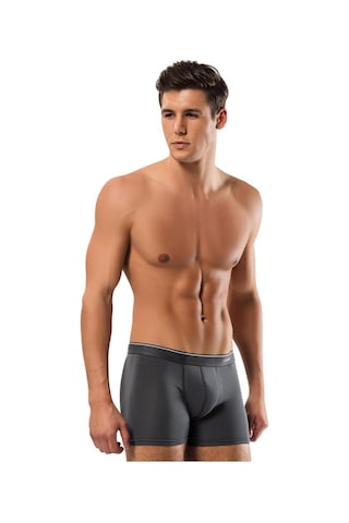 Erdem Füme-gri-lacivert -- 3'lü Basic Boxer 1491 Füme - Gri - Lacivert