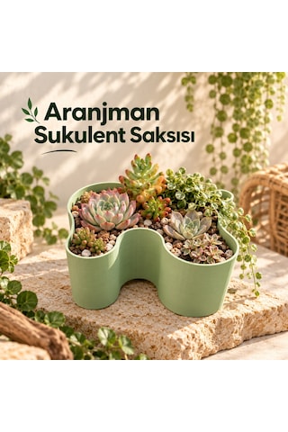Aranjman Sukulent Saksısı - Modern Tasarımlı Bitki Saksısı Aranjman Sukulent Saksısı - Modern Tasarımlı Bitki Saksısı