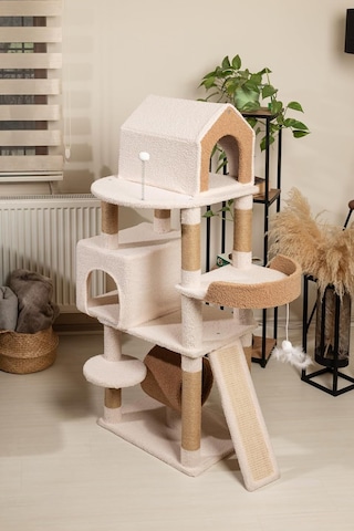 Luna Kedi Tırmalama Alanı