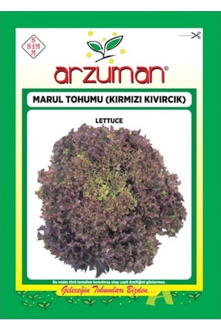 Arzuman Kırmızı Kıvırcık Marul Tohumu 5 G
